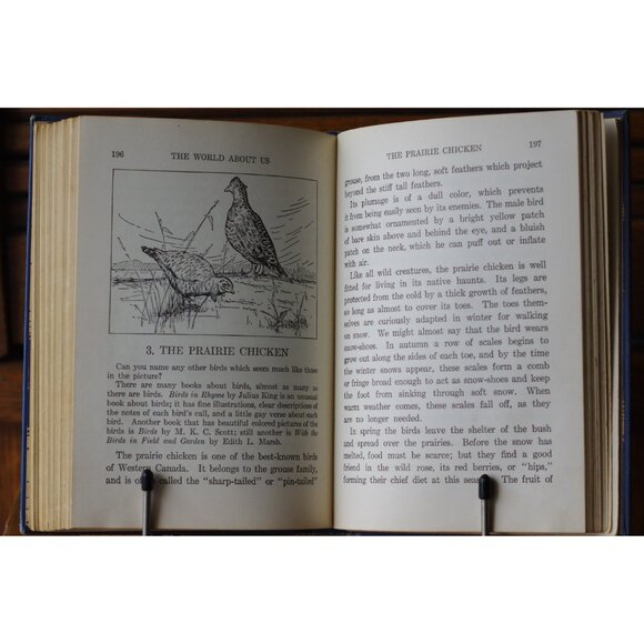 Vintage School Reader, Highroads To Reading Book Four 1930s W J Gage/ Nelson - Picture 8 of 8